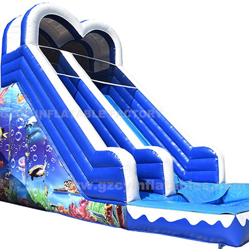 Giant Inflatable Jumping Castle with Slides Swimming Pool Slides