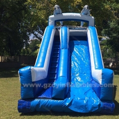 Inflatable Little Dolphin Bounce House Water Slide Children's Water Slide