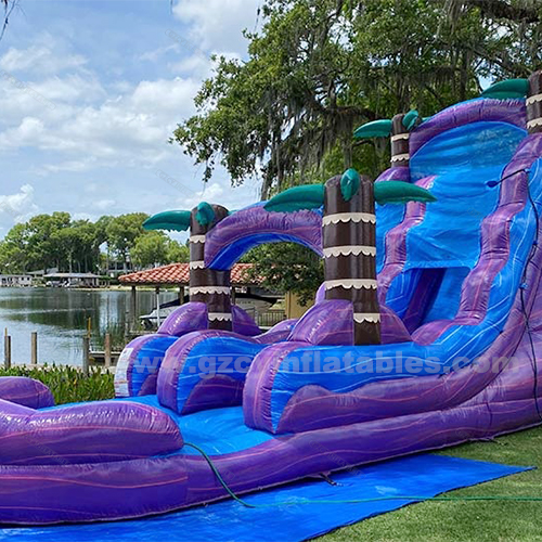 Purple Hurricane Dual Lane Water Slides ,Inflatable Kids Water Slide with Pool