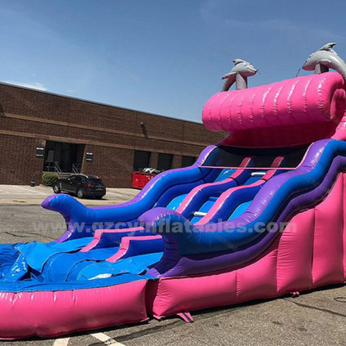 High Quality Kids Inflatable House Slides Double Dolphin Water Slide