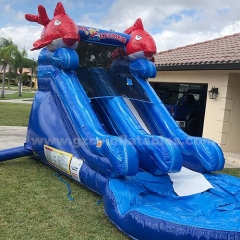 Little Fish Water Slide,Jumping Castle Inflatable Water Slide