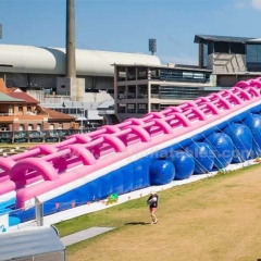 Long Pink Inflatable City Slide Water Slide