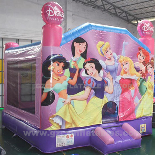 Princess Inflatable Combo Bouncer Slide Castle