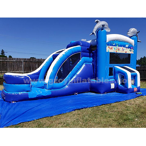 Big Dolphin Inflatable Bouncer Combo Water Slide