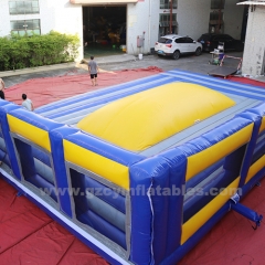 Inflatable Arena Bounce Trampoline Kids and Adults