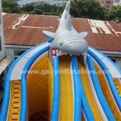Giant Commercial Inflatable Shark Big Slide Inflatable Water Slide
