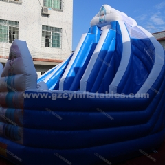 Inflatable Frozen bouncy combo with slide