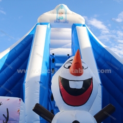 Inflatable Frozen bouncy combo with slide