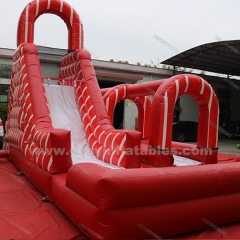 Commercial Grade Giant Inflatable Water Slide with Pool