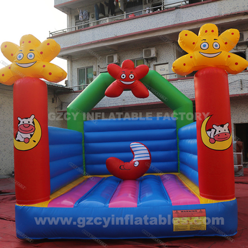 Kids party jumping bouncy castle