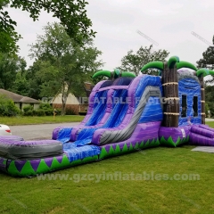 Commercial Palm Tree Backyard inflatable water slide with pool