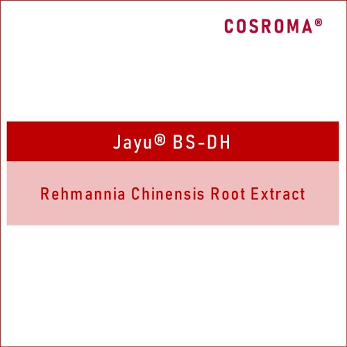 Rehmannia Chinensis Root Extract Jayu® BS-DH