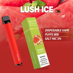 800 Puffs Disposable Vape Device