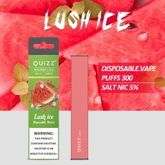 300 Puffs Disposable Vape Device