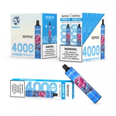 4000 Puffs Disposable Vape