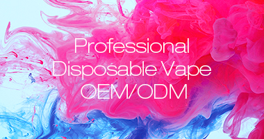 Professional Disposable Vape OEM/ODM