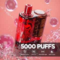 5000 Puffs Disposable Vape