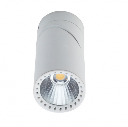 LED Downlight (Ceiling Light)