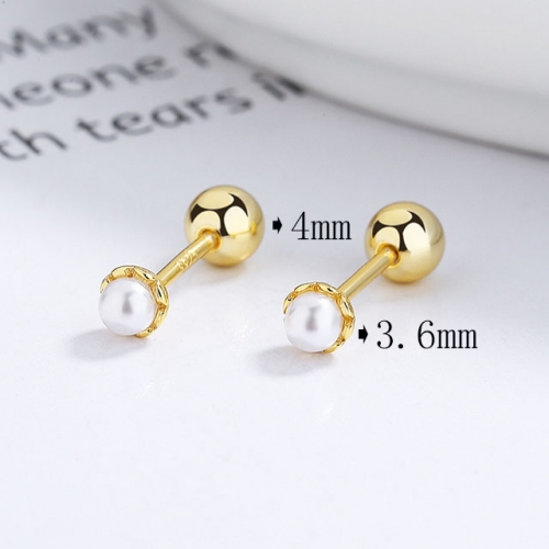BC Wholesale 925 Sterling Silver Jewelry Earrings Good Quality Earrings NO.#925SJ8E1A1317