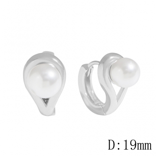 BC Wholesale 925 Sterling Silver Jewelry Earrings Good Quality Earrings NO.#925J11E569