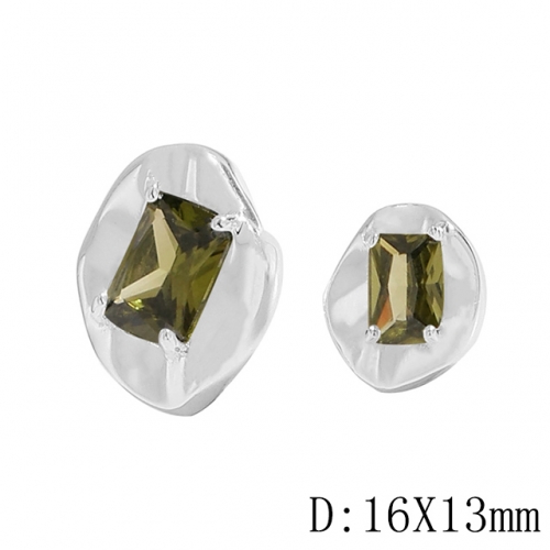 BC Wholesale 925 Sterling Silver Jewelry Earrings Good Quality Earrings NO.#925J11EA489