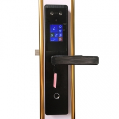 FE205 WIFI Smart Face Lock with App