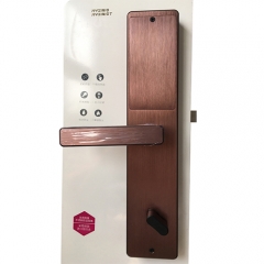 FE205 WIFI Smart Face Lock with App