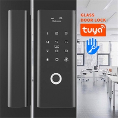 G100S Tuya App Fingerprint Glass Door Lock
