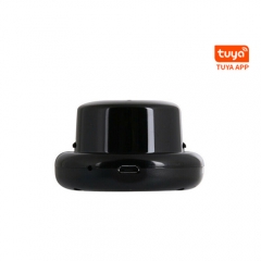 IDZ-30B Wireless Wifi Mini ip camera