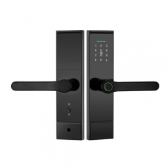 FL-X10 WIFI Smart Fingerprint Lock with App