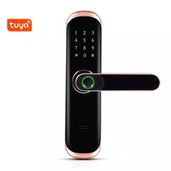 FL-5 WIFI Smart Fingerprint Lock with Tuya App