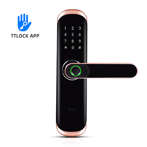 FL-5 WIFI Smart Fingerprint Lock with Tuya App