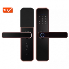 FL-X5 Smart Fingerprint Lock with Tuya App