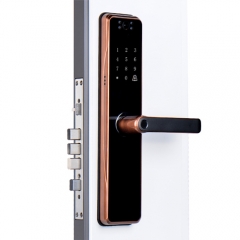 FL-H10C Tuya wifi camera doorbell Door Lock