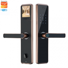 FL-H10C Tuya wifi camera doorbell Door Lock