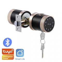 FL-D06 Tuya App Round Knob smart door lock