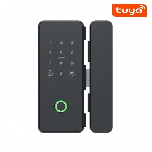 Tuya App Digital keyless biometric fingerprint keypad sliding smart glass door lock