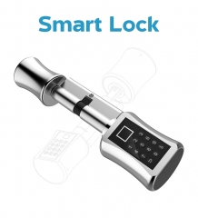 High Security Zinc Alloy Electronic Intelligent Main Gate Fingerprint Digital Handle Smart Door Lock
