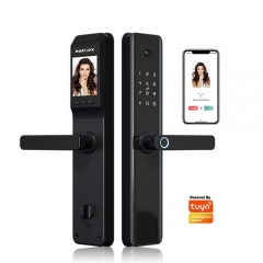 FL-H11C Smart App Fingerprint Semi-automatic Door Lock with LCD Display