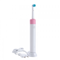 Rotary Electric Toothbrush