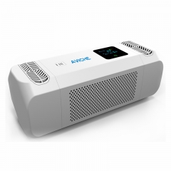 smart portable car ionizer rechargeable Air Purifier with hepa filter for Indonesia