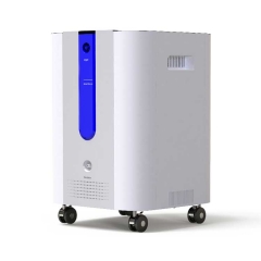 3 Liter China Tragbare Mini medizinische hause Sauerstoff Konzentrator mit Batterie Neue