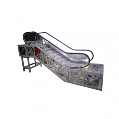 Escalator Training Equipment Teaching Equipment Electrical Installation Lab