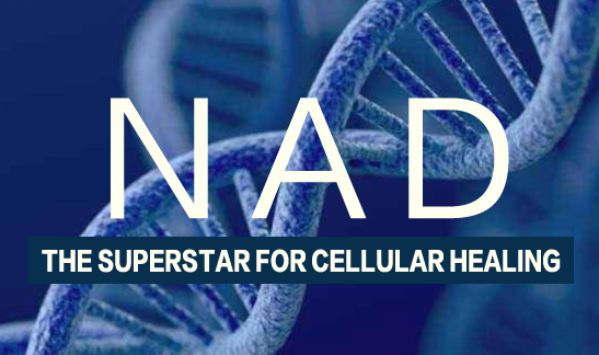 NAD The Superstar for Cellular Healing