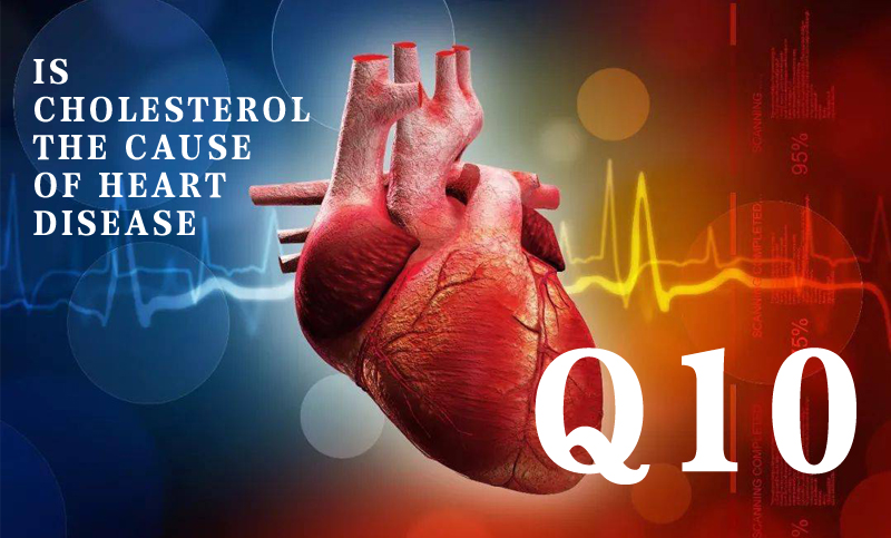 Is Cholesterol The Cause Of Heart Disease?