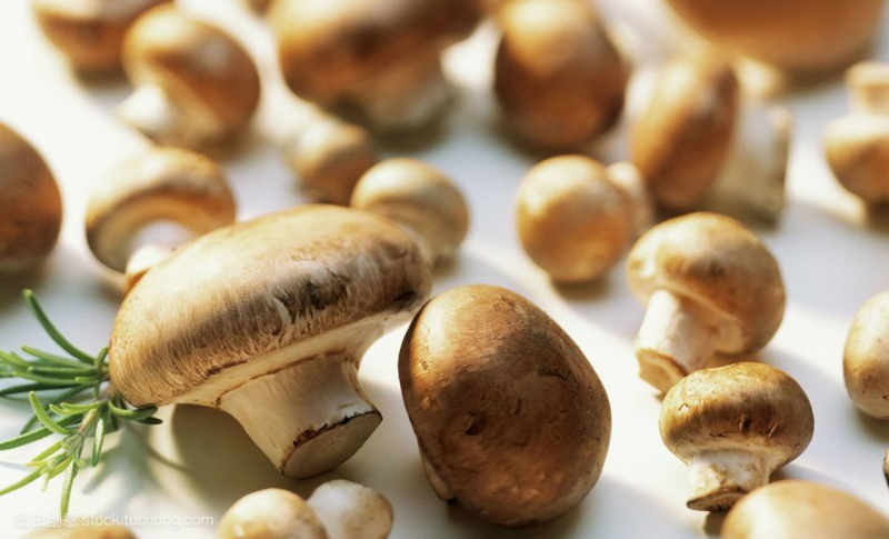 A mushroom-derived amino acid, ergothioneine, is a potential inhibitor of inflammation-related DNA halogenation