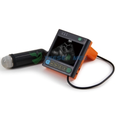 Instrument diagnostique ultrasonique YSB-U3V de secteur mécanique vétérinaire de Digital