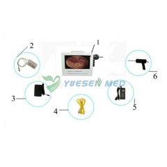Veterinary video otoscope YSVET-500EJ