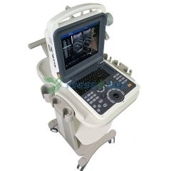 Vétérinaire Doppler couleur portable ultrason YSB-K2000V