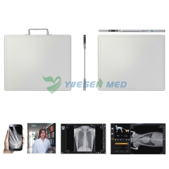 Flat Panel Detector - Digital Radiography Detector For All Kinds of X-ray Machine